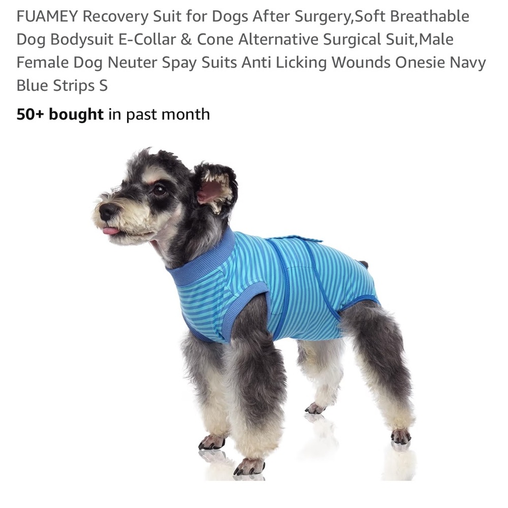 Blue Dog Fashion Hoodie